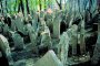 Бум на самоубийствата в Южна Корея заради кризата