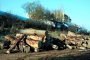 Поголовна сеч по брега на река Дървенишка