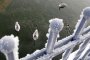 -49 градуса, Словения призова - без пиърсинг