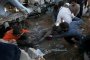 Хамас дава седмица на Израел да изтегли войниците си
