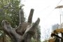 Създадоха протеза за ръка, контролирана изцяло от силата на мисълта 