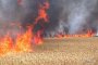 Гърция помага на Албания в борбата с пожарите 