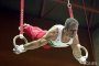 Йовчев ще участва на халки на Световното първенство в Лондон 