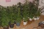 14-годишен злоупотребил с марихуана, в безсъзнание е