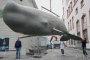 Кашалотите стимулират водораслите с изпражнения