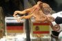 Паул не бил германец, а италианец