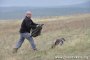орел
