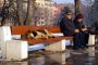 С приюти и кастрации чистят улиците от кучета