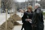 Общината и еколозите започват преброяване на кучетата в София