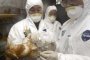 H5N1
