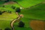 Засилен интерес към конкурса Евросело 2012 