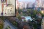 Вълк обикаля улиците в столицата