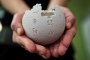  Wikipedia прахосвала дарения