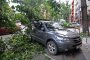 Жълт код за силен вятър в 15 области днес 