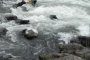 Започва кампания за опазване на реките в България