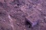 Дават по 2500 лв. на близките на загиналите в Горни Лом