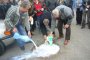 Млекопроизводители на протест