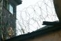 Опандизиха за 15 години българка, блъснала старец в САЩ 
