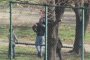 Циганчета изнесоха детска площадка за скрап