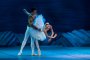 Премиерата на Лебедово езеро предизвика фурор в Бургас 