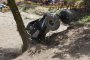  Програма на OFF ROAD SHOW & EXPO