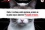    Четири лапи настоява за правила при онлайн търговията с животни