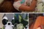 Златка Димитрова родила като принцеса