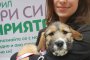  16 кучета намериха нов дом в кампанията Подари си приятел