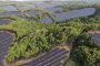 Соларна ферма в Япония компенсира 53 тона емисии на CO2 за година