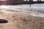 Отпадни води се изливат в морето на Бургас