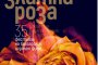   Започва Златна Роза 2017