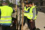   Засаждат 126 500 дървета в София