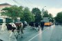  Изкарай, Гано говедата