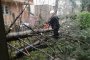    Отстраниха 80 опасно ударени от бурите дървета