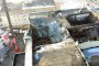 67 жертви в Кемерово, Мей ги ожали и обяви медийна война на Русия