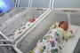   Родените м.г. по-малко, отколкото през Втората световна война