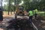   Възраждат Розариума в Борисовата градина, оправят и другите паркове