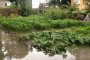  Мизия отново е под вода, обявено е бедствено положение