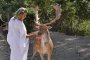 Djane Monique събра Стойчо Керев и Снежана Макавеева 