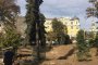    Сложиха нова поливна система в градината на Кристал