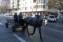   Европейски път
