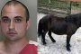  21-годишен правил секс с кон 4 пъти за седмица