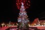    В петък грейва градската елха