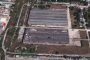   Канадска компания със 150 хил. декара за производство на канабис в България
