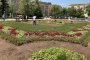     Градината пред Св. Седмочисленици скоро цъфва