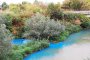 Водите на река Русенски Лом се оцветиха в електриково синьо 