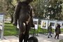  Момчето с кратунката