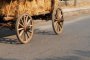 10-годишно дете е в тежко състояние след падане от каруца