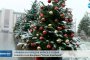 Откраднаха част от коледната украса в София