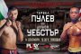 Тервел Пулев – Дешон Уебстър на 14 декември от 19:39 ч.